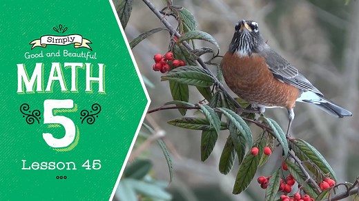 Lesson 45 | Simply Good and Beautiful Math 5