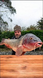 351K views · 6.8K reactions | A Fried Fish Recipe | Fast Cooking | Facebook