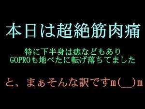 VTR250エンジン載せ替えの巻き!!