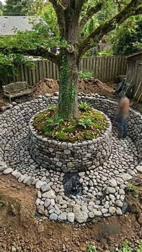 Backyard Tree Pond | Timelapse #shorts