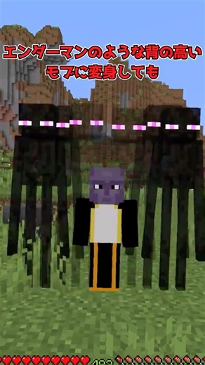Don't Let Your Cover Get Blown. [Minecraft]