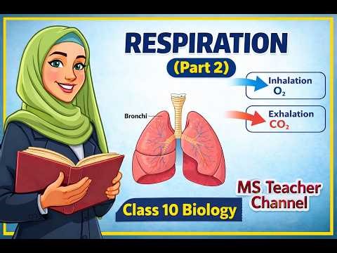 Class 10 Biology – Respiration Chapter Part 2