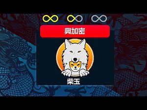 柴玉 项目概况