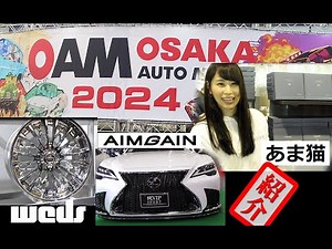 大阪オートメッセ2024 歩いていたら あま猫さんに遭遇 Wedsホイール aimgain車両紹介