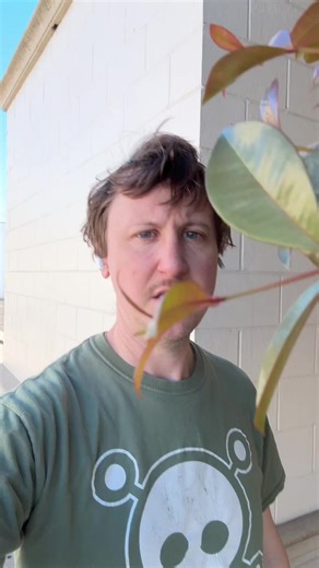 this is how you do this one okay? live dates in #NASHVILLE #TACOMA then taping in #losangeles