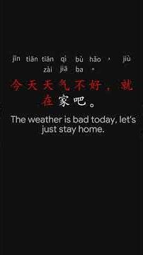 Learn Chinese the Fastest 最快学中文 L1 5 p28