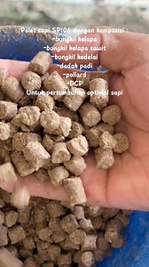 Resep & tutorial comboran bicow.semoga saja bisa diendors😆😂✌🏻 #bicow #tutorialcomboran #comboransapi | Rini