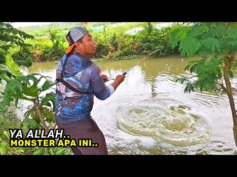 What a dream! Fishing at the dam, I caught monsters this big.