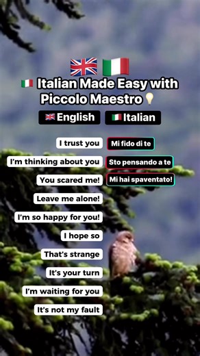 50K views · 1.5K reactions |  Italian Made Easy with Piccolo Maestro #LearnItalian #PiccoloMaestro #ItalianLanguage #ItalianLessons #ItalianForBeginners #ItalianMadeEasy #LearnWithMe #StudyItalian #DailyItalian #SpeakItalian #PiccoloMaestroItaliano #ItalianVibes #LanguageLearning #ItalianWords #LearnLanguages #ItalyLovers #ItalianCulture #ReelItalian #ItalianReels #ItalianLearningJourney #fblifestyle | Piccolo Maestro | Facebook