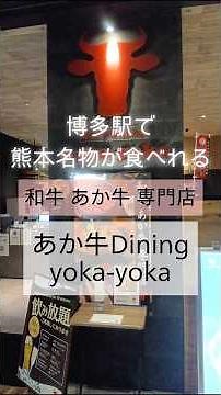 【博多駅グルメ】博多駅で熊本名物！？あか牛Dining yoka-yoka KITTE博多店 #あか牛 #熊本名物 #博多駅グルメ #博多駅 #博多 #福岡 #shorts #あか牛丼 #丼