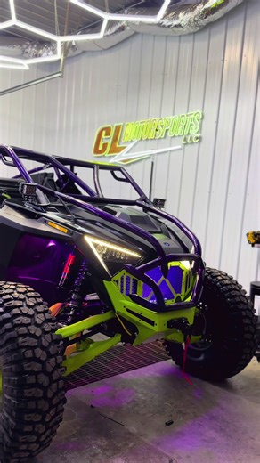 Custom Built Polaris RZR for Sale