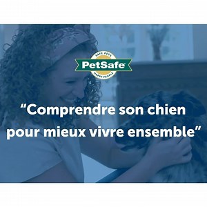 66K views · 29 reactions | Apprenez tout ce que vous devez savoir sur la possession d'un animal de compagnie, qu'il s'agisse de vous aider à décider si vous êtes prêt à prendre un chiot, de l'importance du dressage, de la prévention des aboiements excessifs et de bien d'autres choses encore. | PetSafe Europe | Facebook