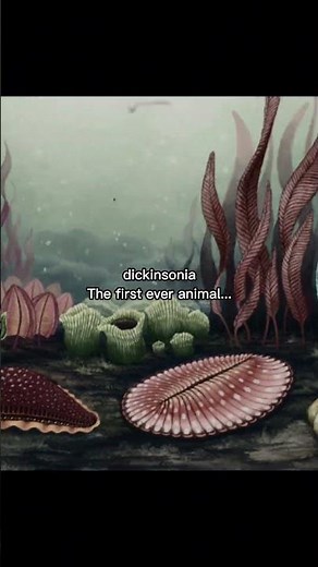 The first animal (earth)