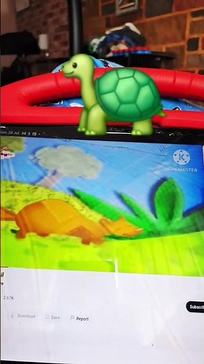 turtle and babytv