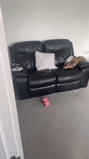 Start off my Friday with a speed clean of the living room using @cleanwithpinkstuff @AirPure® #cleantok #speedclean #motivation #fyp #foryou