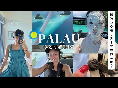 パラオひとり旅5日間🇵🇼