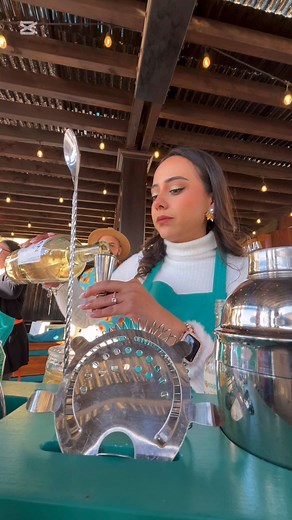Clase de Mixología en Casa Botran: Aprende a Mezclar Bebidas