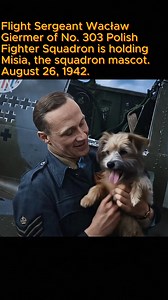 #ww2 #aviation #aircraft #pilot #military | World War II Aircraft