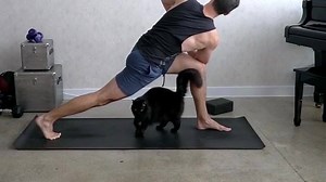 1M views · 1K reactions | Working out with your cats can be a handful :D | Rumble Cats | Facebook