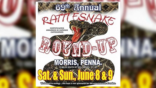 Rattlesnake Round-Up returns this weekend in Morris