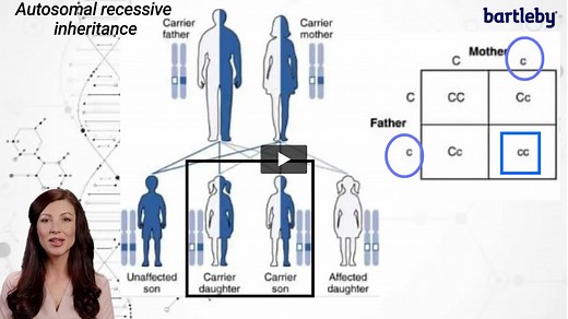 Answered: PEDIGREE ANALYSIS ANSWER THE FOLLOWING QUESTIONS 1. The chart shows a family's pedigree for Hitchhikers Thumb. Is this trait dominant or recessive? 2. How do… | bartleby