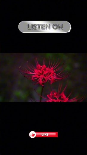 Ultimate Relaxation ASMR Experience Episode 26 #ASMR #Relaxation