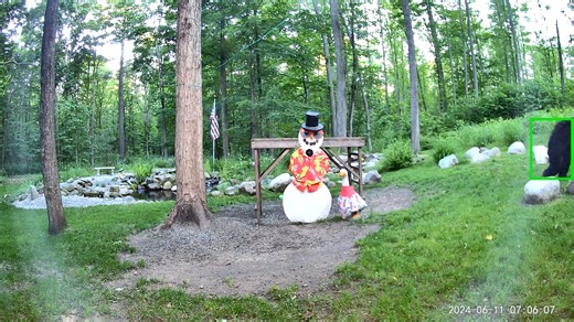 Good morning Snowman Cam fans! 🐻 ⛄️ 🪿 www.SnowmanCam.com | Snowman Cam