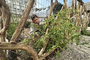 Environmental Studies