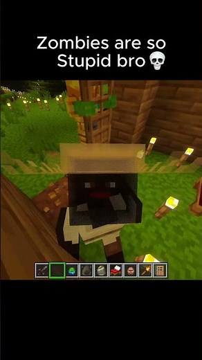 Most Braindead Zombie Moment #minecraft
