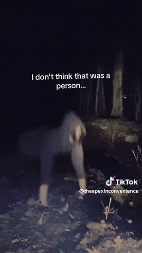 Do Human Eyes Glow in the Dark? Explained