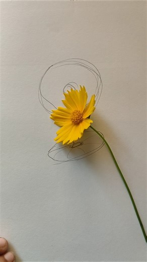 Drawing Point of view #drawing #drawingtutorial #pencildrawing #shorts