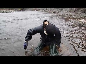 Video 6 - Fossil hunting on a wet and windy day - Taster (waders, waterproof suit, PVC, wet, water)