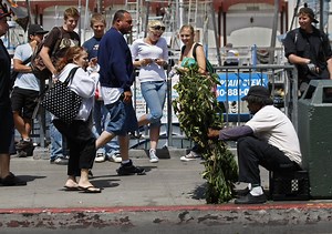 Betrayal, arrests and the weird, weird tale of the SF Bushman