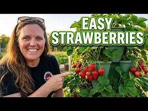 Stackable Planters Make Growing Strawberries SUPER Easy