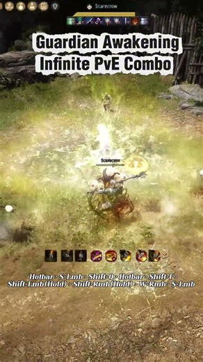 BDO | Awakening Guardian PvE Combo Guide #bdo #bdogrind #blackdesertonline