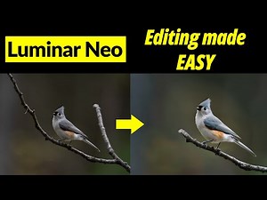Luminar Neo. Editing made EASY