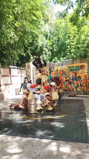 #KenyaAcrobatswithmultipleAct #kenya #Dancers #Acrobatsshow Our Amazing Kenya Dancers Acrobats with high energy And strong Act including Traditional Dancers Kindly for booking Airtstinfo@gmail.com | Brian Kenya Acrobats