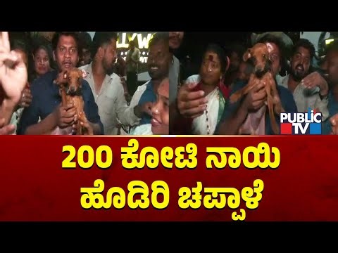 200 ಕೋಟಿ ನಾಯಿ ಹೊಡಿರಿ ಚಪ್ಪಾಳೆ | Gilli Fans | Big Boss Kannada Season 12 | Public TV