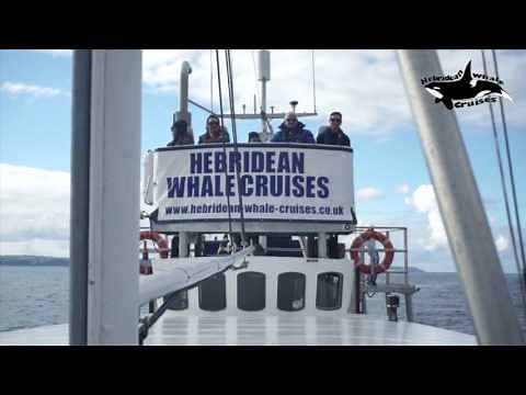 Hebridean Whale Cruises, Stornoway