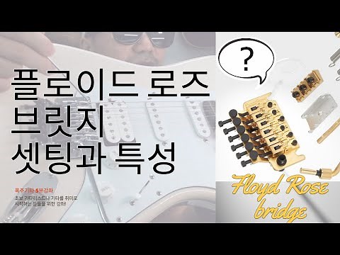 플로이드 로즈 브릿지 셋팅법과 튜닝 안나가게 하는 팁!