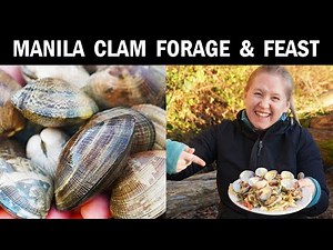 Manila Clam Forage & Feast (Digging & Cooking Clams on the Beach)