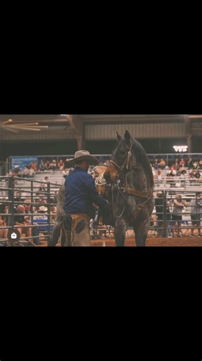 28 reactions | Don’t limit your challenges. Challenge your limits. #leadwithlonestar #lonestarropes | Lone Star Ropes | Facebook