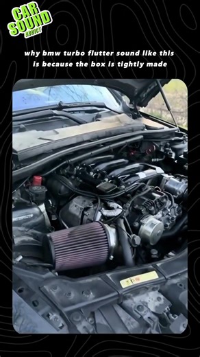 😲It Literally Saying HAHAHAHA