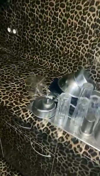 Discover Amazing Content You Can’t Miss! 🎥✨