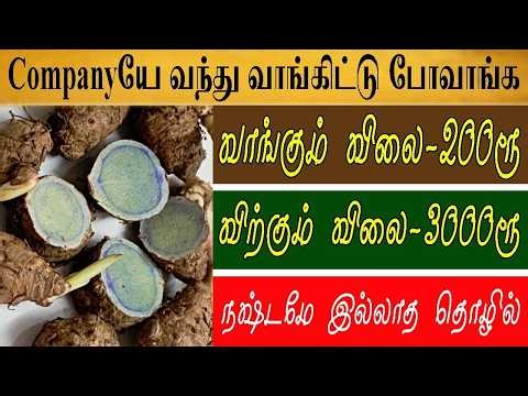 இந்த தொழில் செய்தால் Company யே வந்து வாங்கிட்டு போவாங்க! small business ideas in tamil