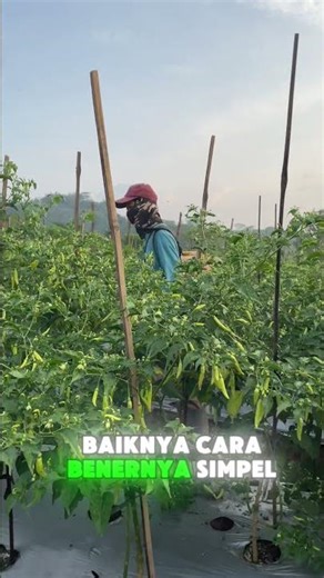 Trichoderma Dies First? You're Using It Wrong!