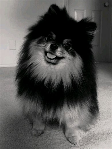 Uke Yoongi Fan Fiction Önerisi