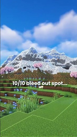 Top tier bleed out spot... #minecraft #mountains
