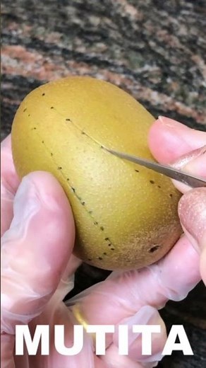 Kiwi Fruit Rose Tulip Flower #shorts #fruit #art #rose