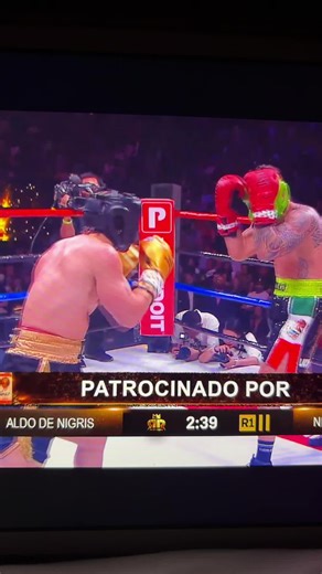 #termina en primer round #aldonegris #ringroyale🥊🔥 #nicolaporcella | nicola porcella